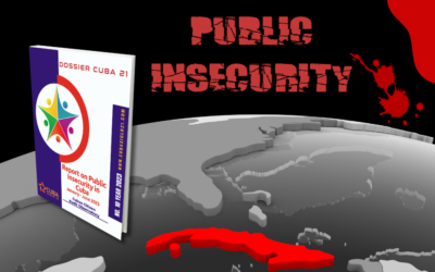 Report on Public Insecurity in Cuba  January – June 2023