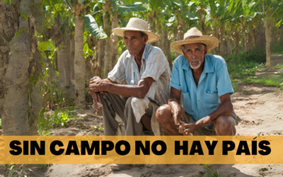 ¿Por qué hay hambre en Cuba? No siguieron las medidas “Sin campo no hay país”