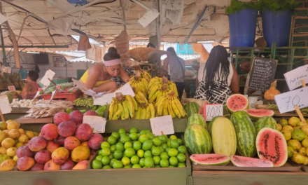 Propiedad y Mercado: claves para revitalizar la agricultura en Cuba