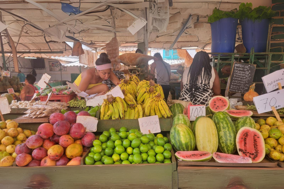 Propiedad y Mercado: claves para revitalizar la agricultura en Cuba