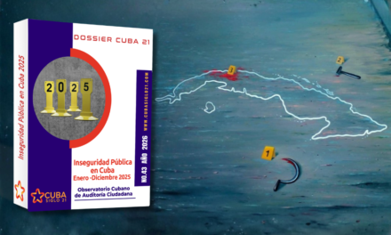 Informe de Inseguridad Pública 2025