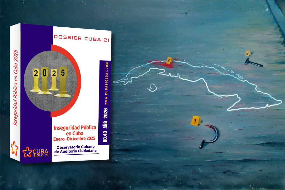 Informe de Inseguridad Pública 2025