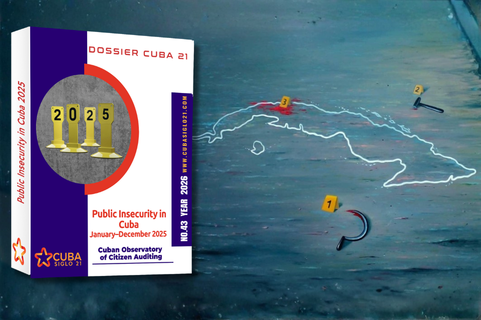 Public Insecurity in Cuba 2025